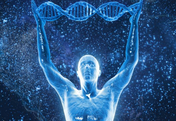 骨密度仪厂家告诉你骨质疏松可以也是无法改变的遗传因素