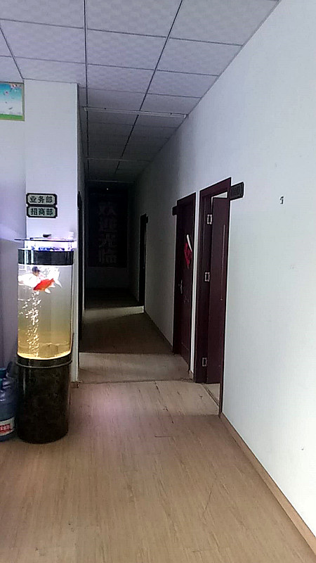 骨密度仪器走进安徽某生物科技有限公司-仪器安装地点