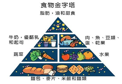 骨密度仪介绍“我不要觉得,我要我觉得”骨质疏松必须这么检测