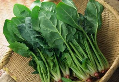 菠菜菠菜菠菜贱卖骨密度仪厂家介绍菠菜中的维生素K具有促进骨钙形成的强大功效